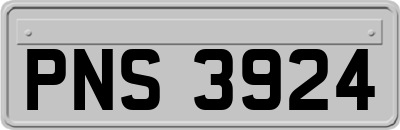 PNS3924
