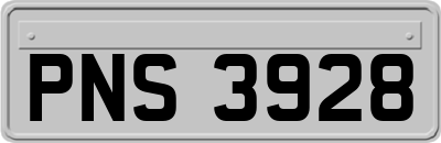 PNS3928