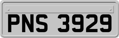 PNS3929