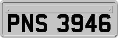 PNS3946