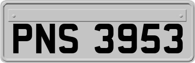 PNS3953