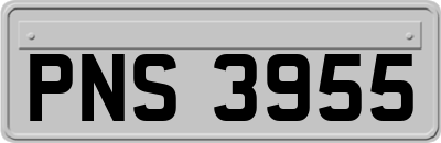 PNS3955