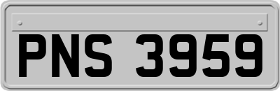 PNS3959