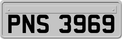 PNS3969