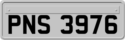 PNS3976