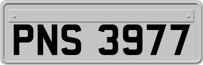 PNS3977
