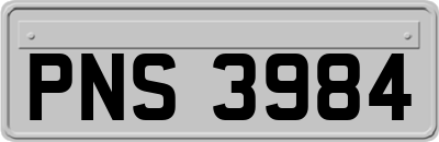 PNS3984