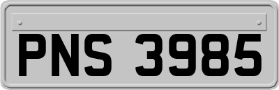 PNS3985
