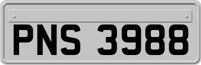 PNS3988