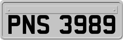 PNS3989