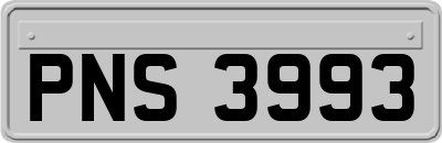 PNS3993