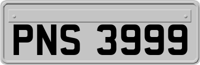 PNS3999