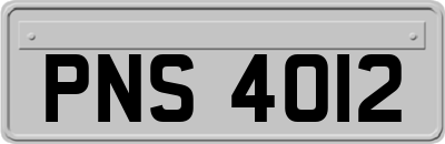 PNS4012