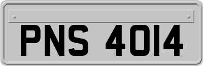 PNS4014