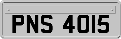 PNS4015