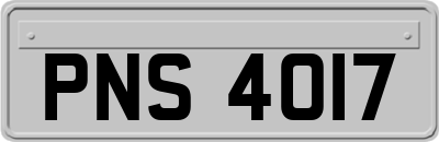 PNS4017