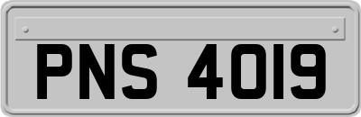PNS4019