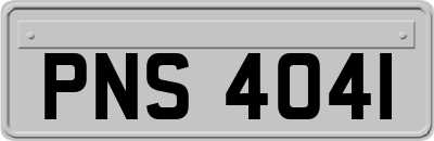 PNS4041