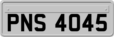 PNS4045
