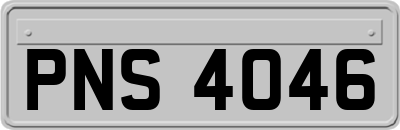 PNS4046