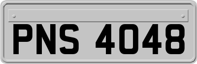 PNS4048