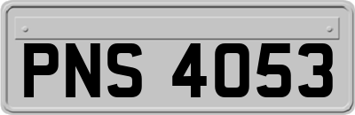 PNS4053