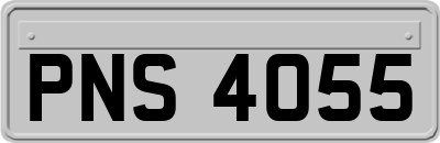 PNS4055