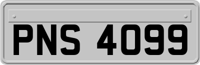 PNS4099