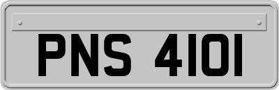 PNS4101