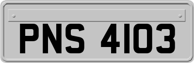 PNS4103
