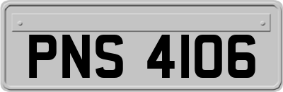 PNS4106