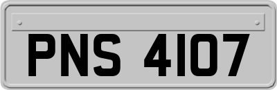 PNS4107