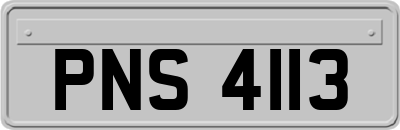 PNS4113