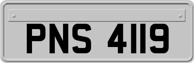 PNS4119