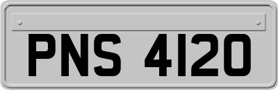 PNS4120