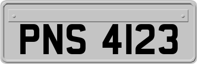 PNS4123