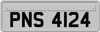 PNS4124
