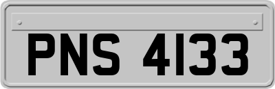 PNS4133