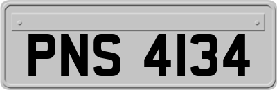 PNS4134