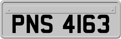 PNS4163