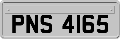 PNS4165