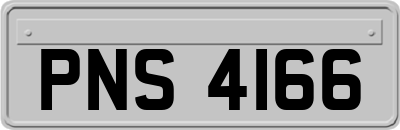 PNS4166
