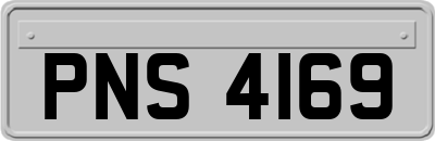 PNS4169