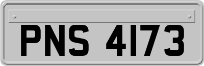 PNS4173