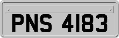 PNS4183
