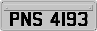 PNS4193