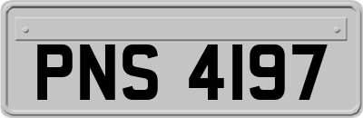 PNS4197