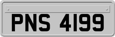 PNS4199