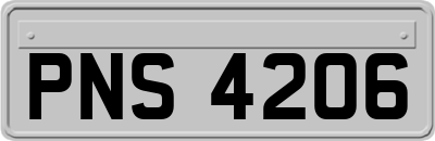 PNS4206