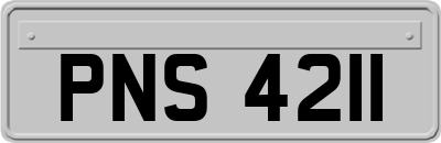 PNS4211